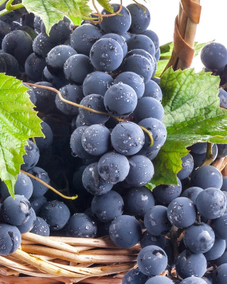 Blue Concord Grape sfondi gratuiti per 240x400