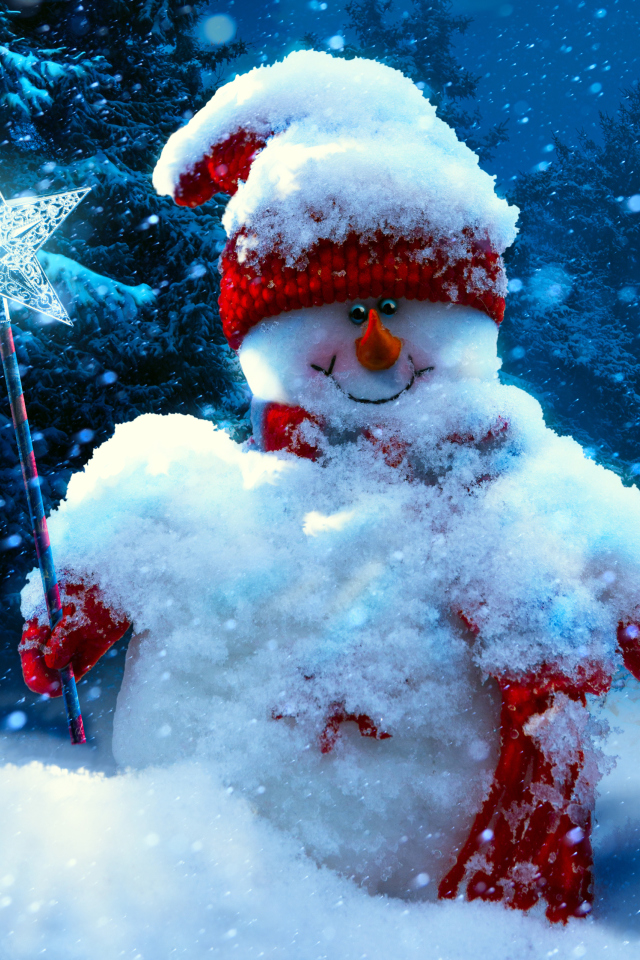 Fondo de pantalla Snowy Snowman 640x960