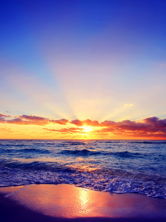 Обои Romantic Sea Sunset 240x320
