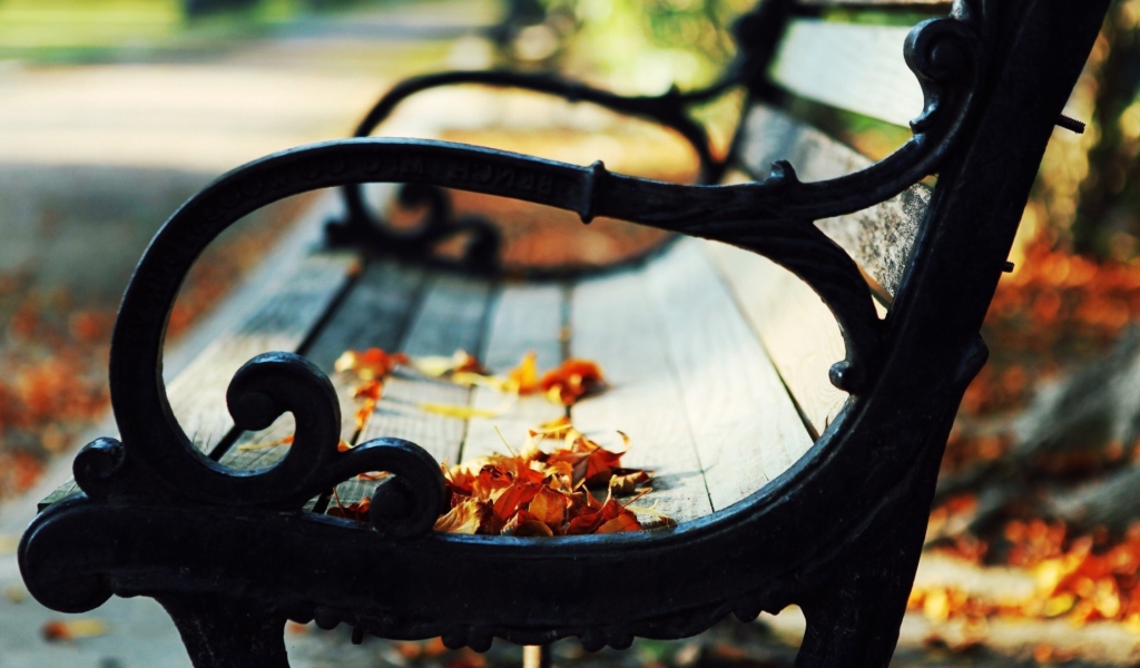 Bench In The Park wallpaper 1024x600