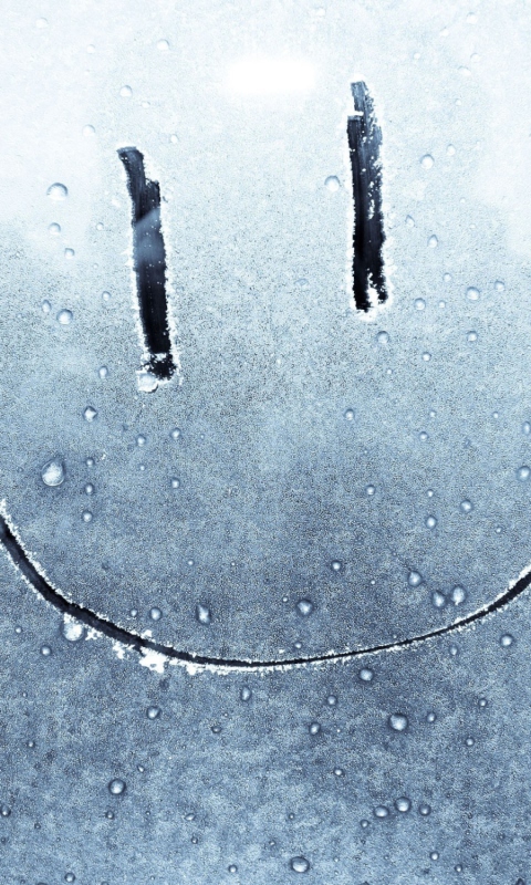 Sfondi Smiley Face On Frozen Window 480x800