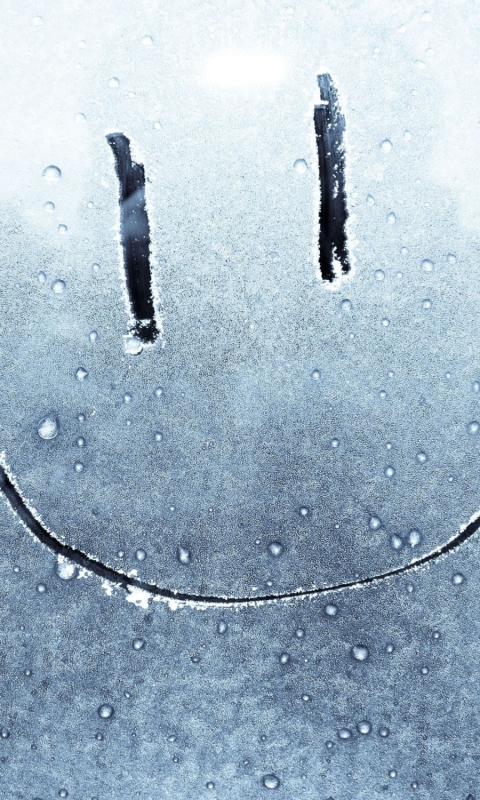 Fondo de pantalla Smiley Face On Frozen Window 480x800