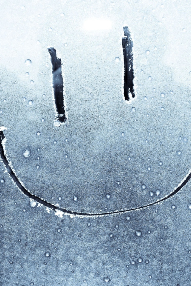 Обои Smiley Face On Frozen Window 640x960