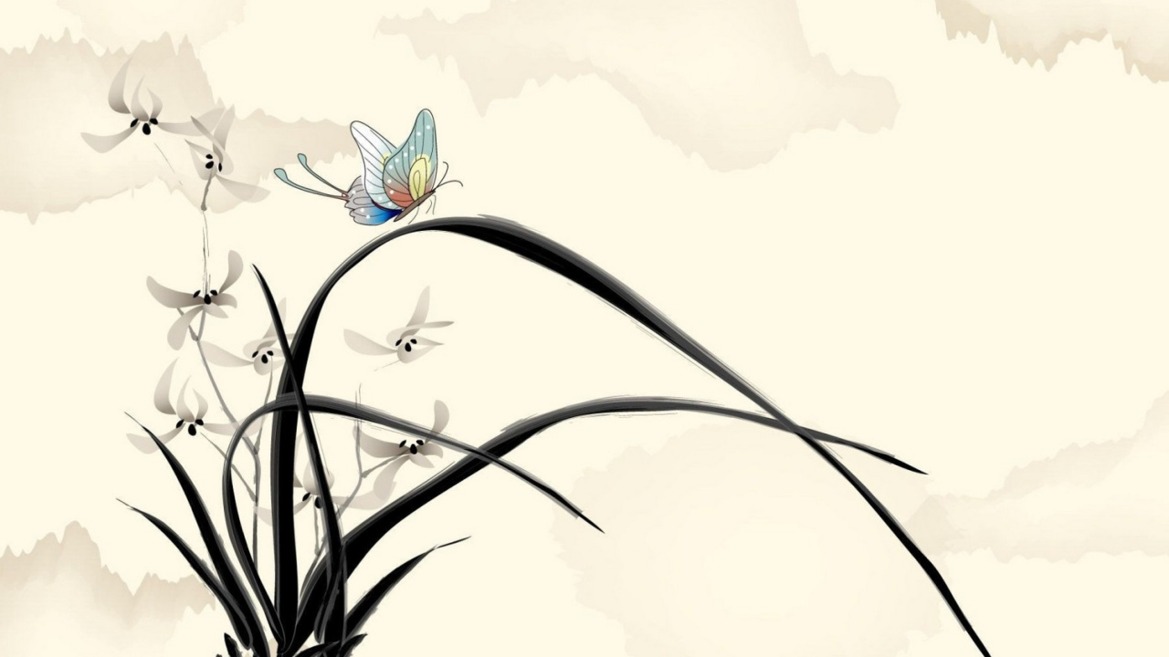 Das Butterfly Picture Wallpaper 1280x720