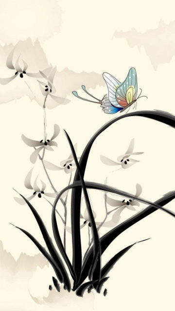 Das Butterfly Picture Wallpaper 360x640