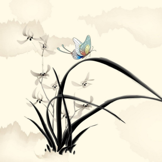 Butterfly Picture - Obrázkek zdarma pro iPad