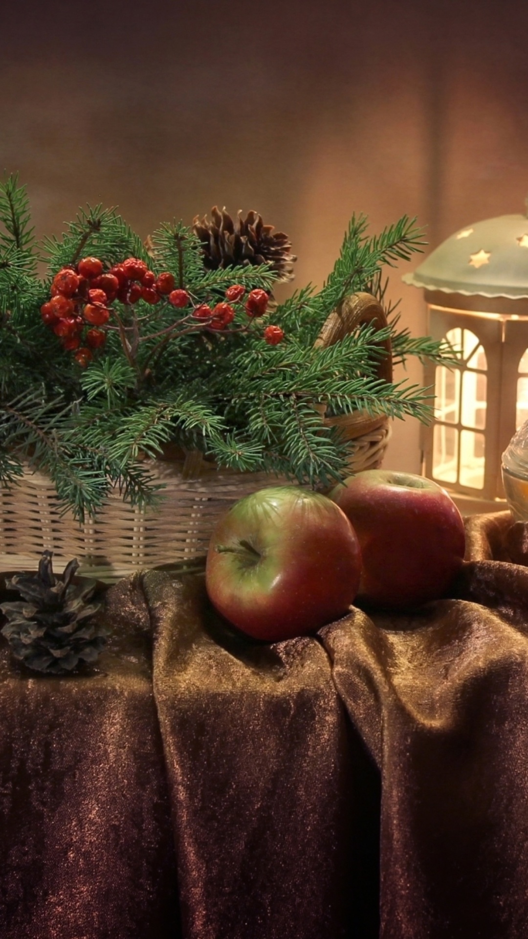 Fondo de pantalla Winter Still Life 1080x1920