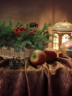 Обои Winter Still Life 240x320