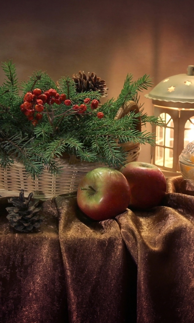 Das Winter Still Life Wallpaper 768x1280