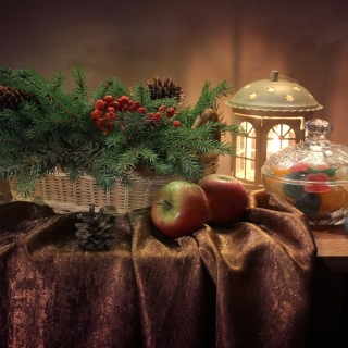 Winter Still Life - Obrázkek zdarma pro 128x128