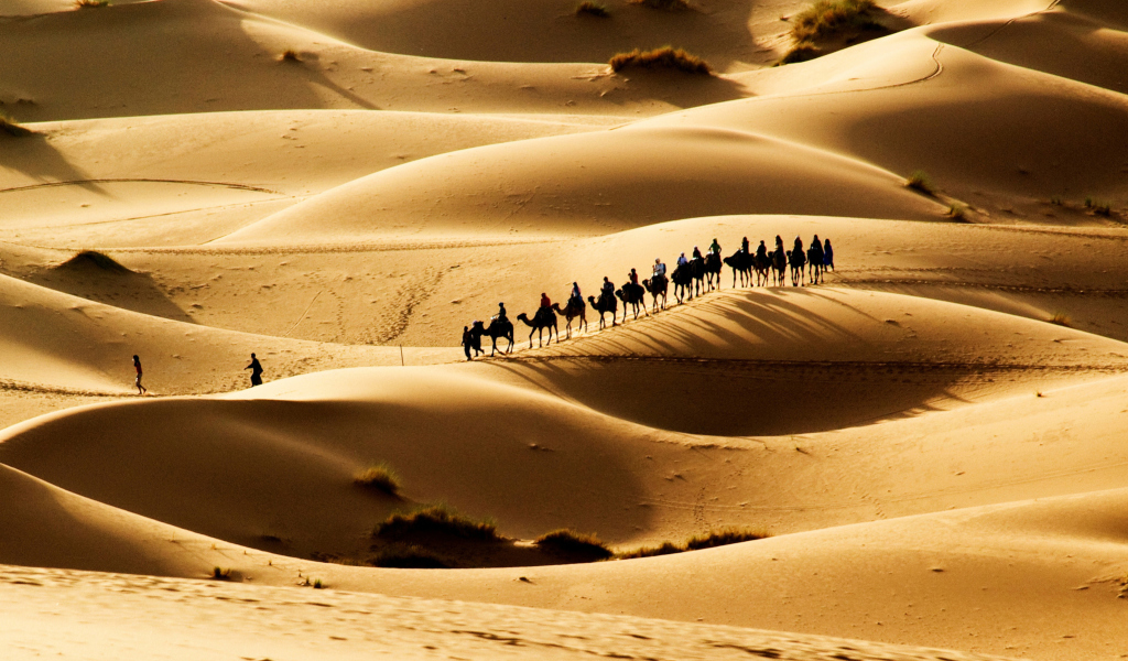 Das Camel Caravan In Desert Wallpaper 1024x600