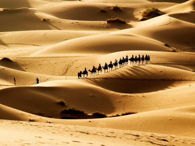 Das Camel Caravan In Desert Wallpaper 640x480