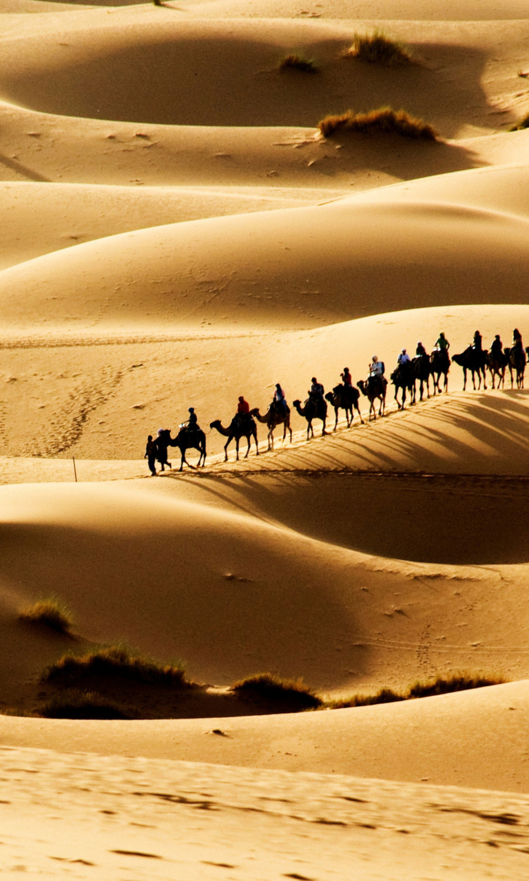 Обои Camel Caravan In Desert 768x1280