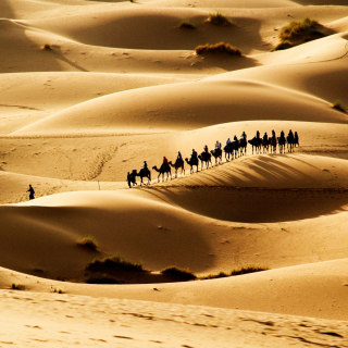 Kostenloses Camel Caravan In Desert Wallpaper für 128x128