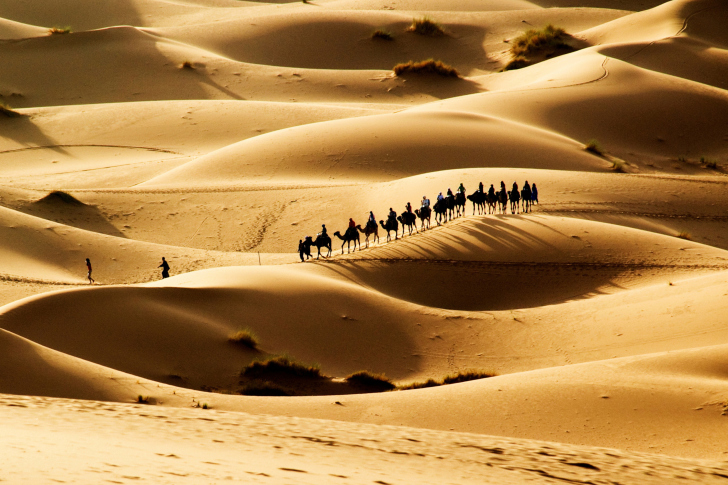 Das Camel Caravan In Desert Wallpaper
