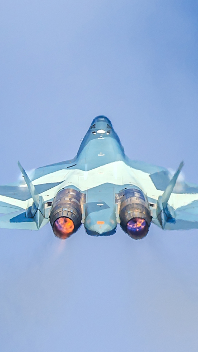 Das Sukhoi Su 30MKK Wallpaper 750x1334