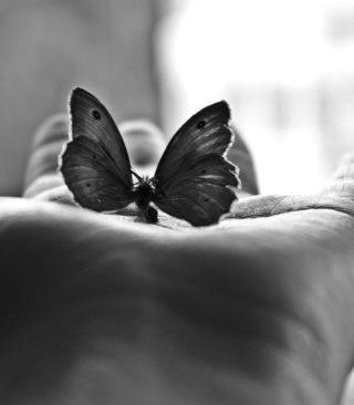Butterfly In Hand - Obrázkek zdarma pro 132x176