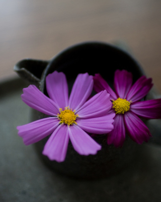 Purple Flowers - Obrázkek zdarma pro Nokia Asha 310