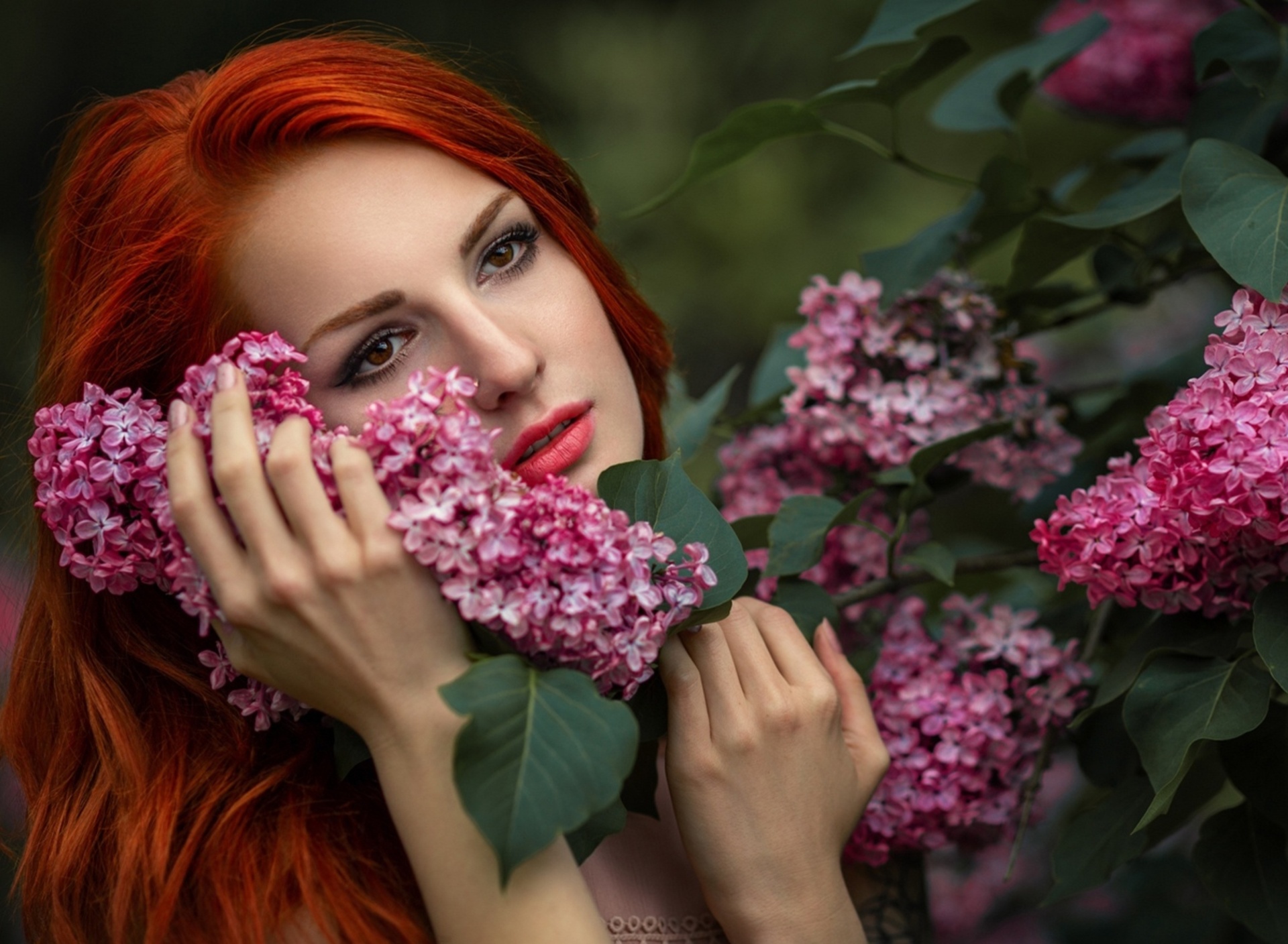 Girl in lilac flowers wallpaper 1920x1408