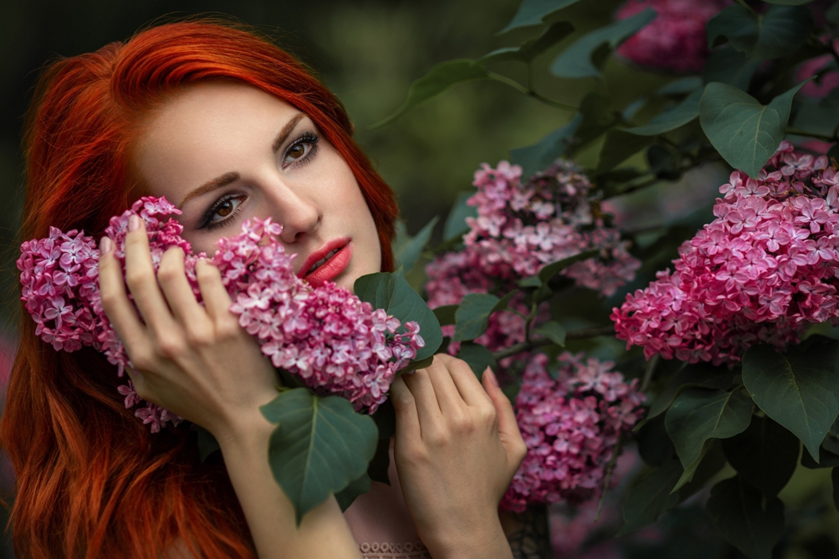 Fondo de pantalla Girl in lilac flowers 2880x1920