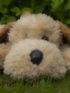 Lonely Plush Dog wallpaper 240x320