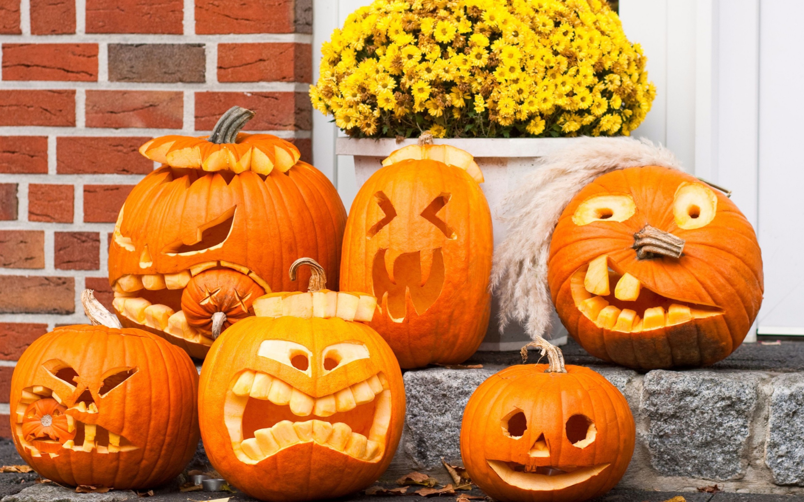 Обои Halloween Pumpkin 2560x1600