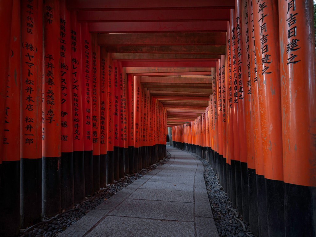 Das Fushimi Inari Taisha in Kyoto Wallpaper 1024x768