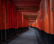 Fondo de pantalla Fushimi Inari Taisha in Kyoto 176x144