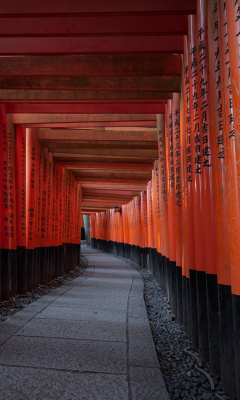 Обои Fushimi Inari Taisha in Kyoto 240x400