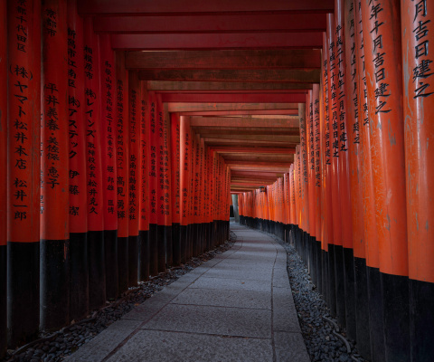 Fushimi Inari Taisha in Kyoto wallpaper 480x400