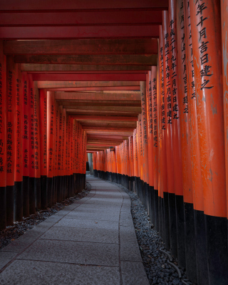 Fushimi Inari Taisha in Kyoto - Obrázkek zdarma pro 176x220