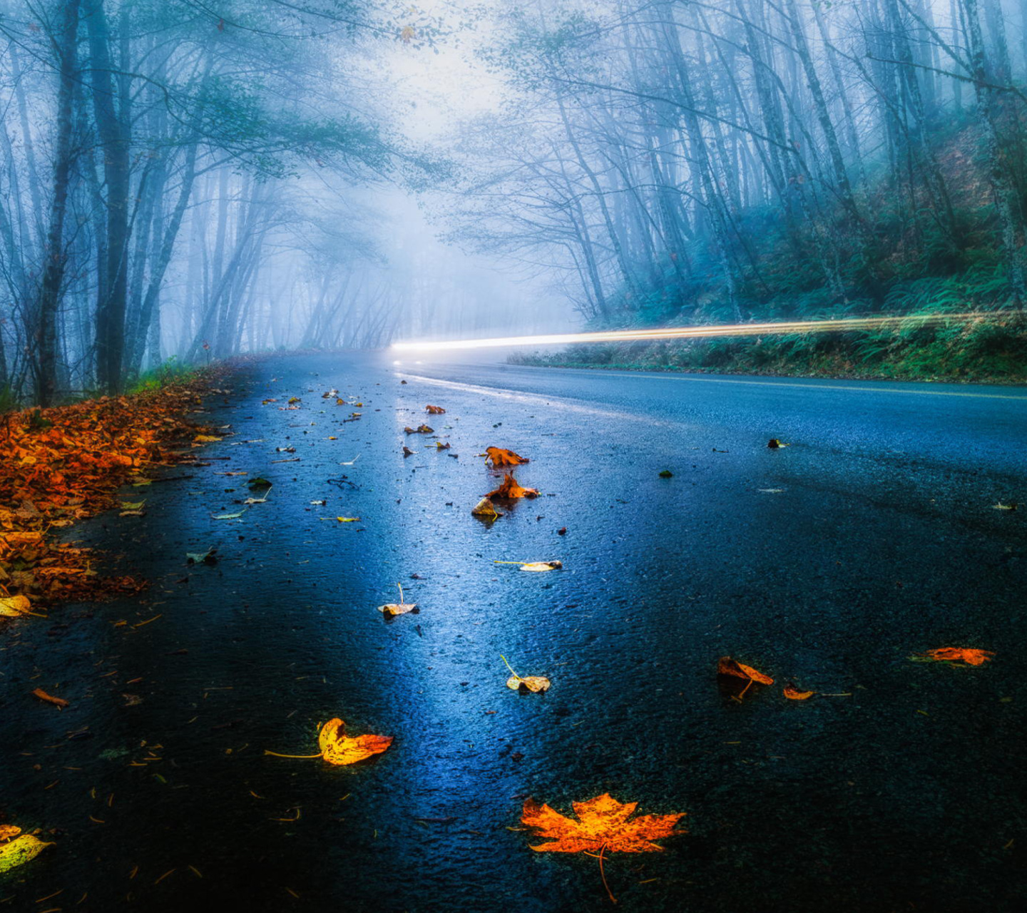 Mist Road screenshot #1 1440x1280