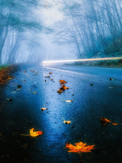 Fondo de pantalla Mist Road 240x320