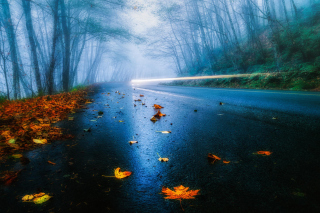 Mist Road Wallpaper for Android, iPhone and iPad