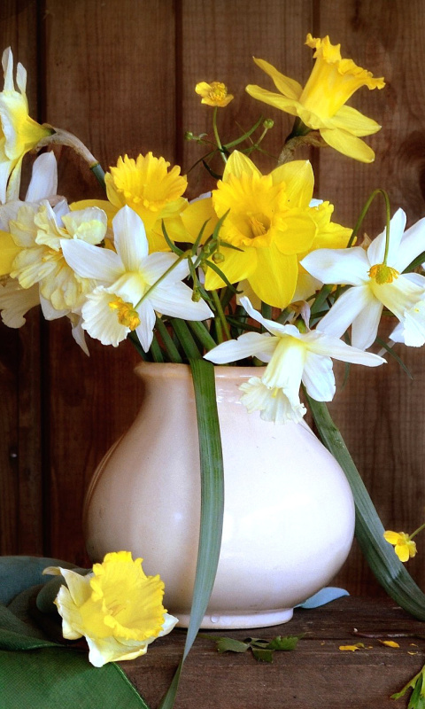 Daffodil Jug wallpaper 480x800