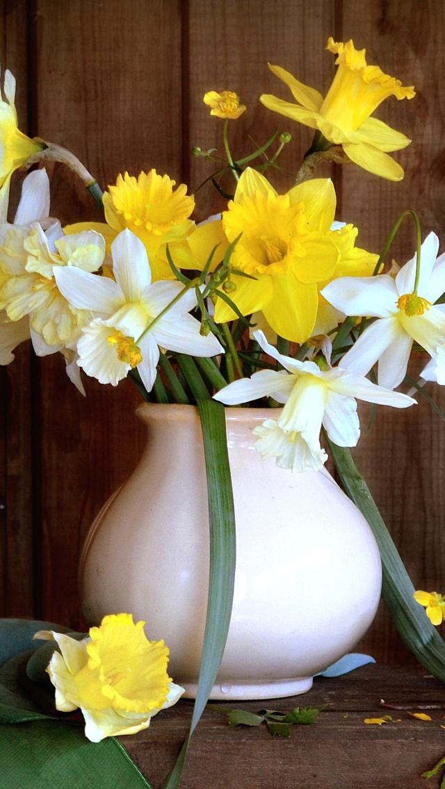 Обои Daffodil Jug 640x1136
