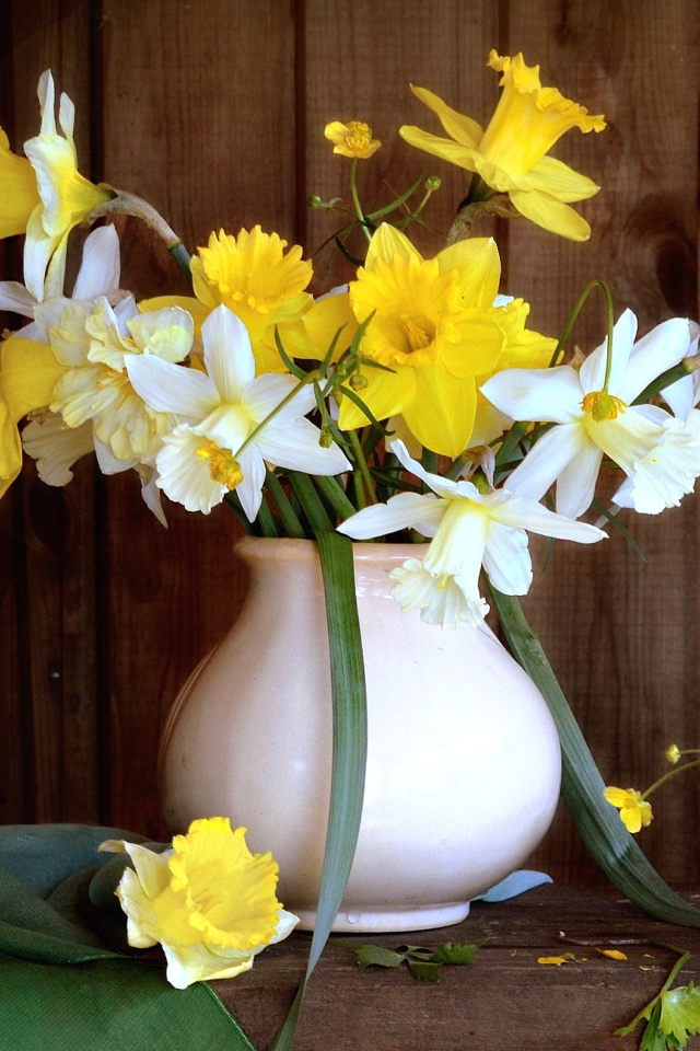 Sfondi Daffodil Jug 640x960