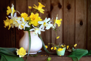 Daffodil Jug Background for Android, iPhone and iPad