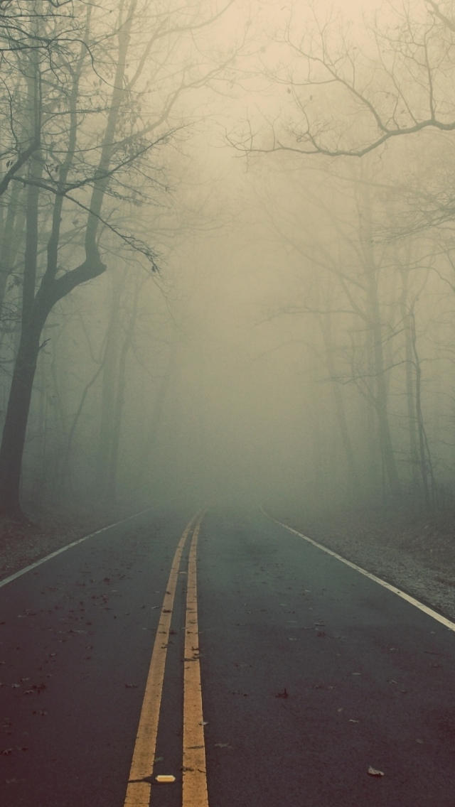 Foggy Road screenshot #1 640x1136