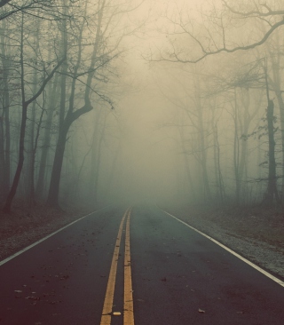 Foggy Road - Obrázkek zdarma pro 640x960