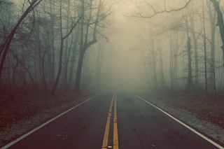 Foggy Road - Obrázkek zdarma pro 320x240