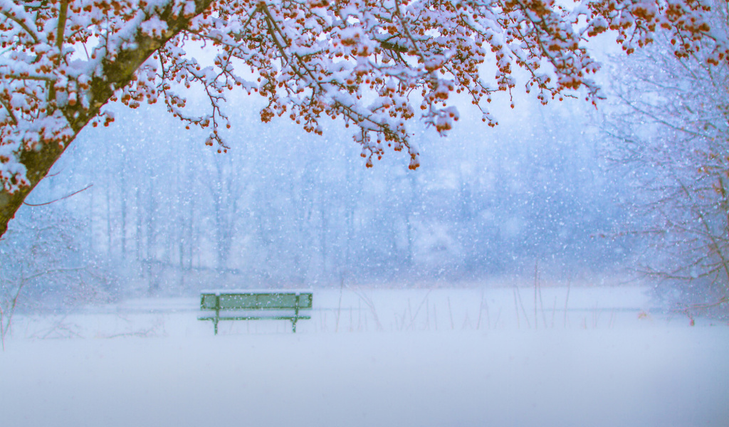 Screenshot №1 pro téma Park in Snow 1024x600