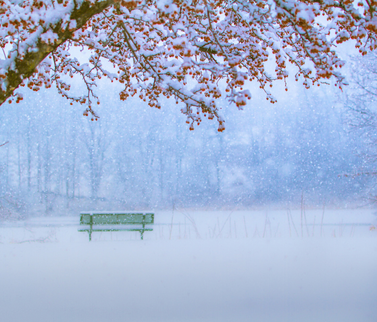 Park in Snow screenshot #1 1200x1024