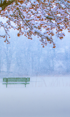 Fondo de pantalla Park in Snow 240x400