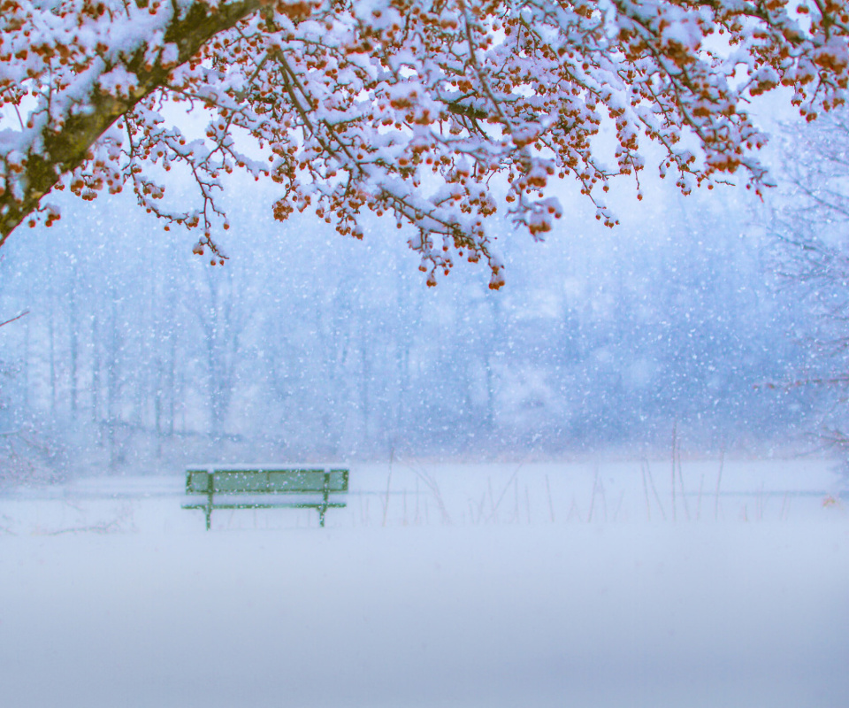 Fondo de pantalla Park in Snow 960x800