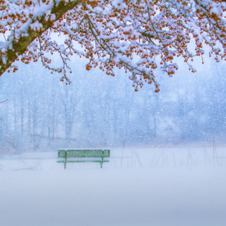 Park in Snow - Obrázkek zdarma pro 208x208