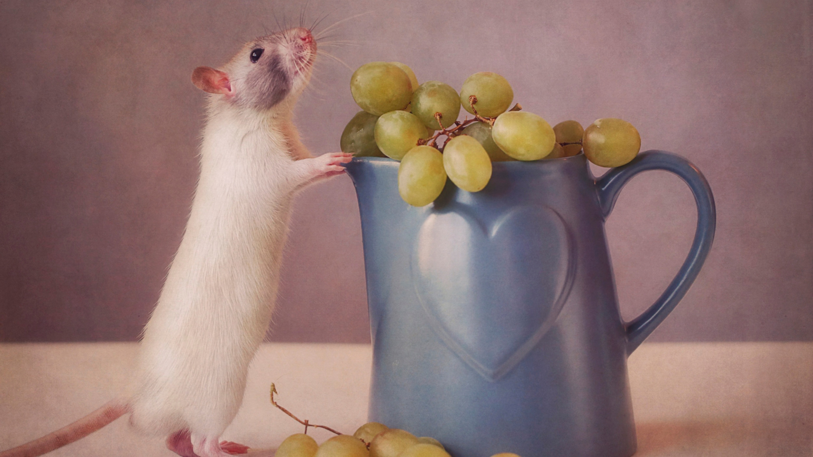 Screenshot №1 pro téma Mouse Loves Grapes 1600x900