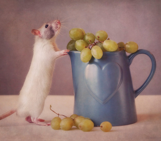 Mouse Loves Grapes - Obrázkek zdarma pro 1024x1024