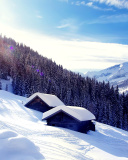 Screenshot №1 pro téma Early frosts in Austrian Alps 128x160