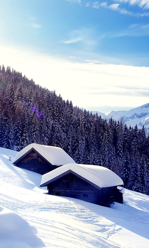Fondo de pantalla Early frosts in Austrian Alps 480x800